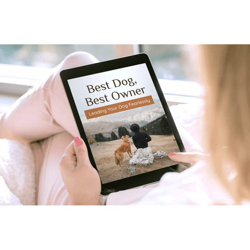 BONUS #2 - Best Dog, Best Owner - Leading Your Dog Fearlessly